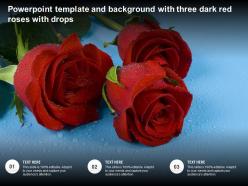 Powerpoint template and background with three dark red roses with drops
