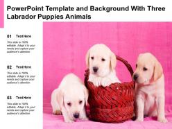 Powerpoint template and background with three labrador puppies animals