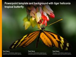 Powerpoint template and background with tiger heliconia tropical butterfly