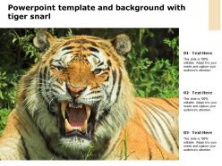 Powerpoint template and background with tiger snarl