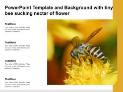 Powerpoint template and background with tiny bee sucking nectar of flower