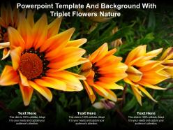 Powerpoint template and background with triplet flowers nature