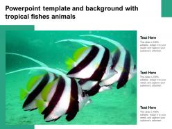 Powerpoint template and background with tropical fishes animals