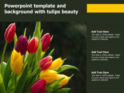 Powerpoint template and background with tulips beauty