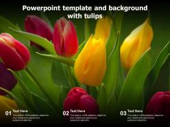 Powerpoint template and background with tulips