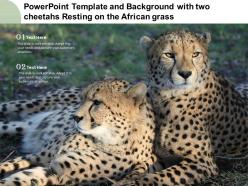 Powerpoint template and background with two cheetahs resting on the african grass