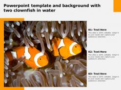 Powerpoint template and background with two clownfish in water