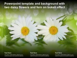 Powerpoint template and background with two daisy flowers and fern on bokeh effect