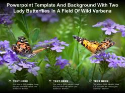 Powerpoint template and background with two lady butterflies in a field of wild verbena