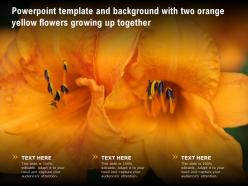 Powerpoint template and background with two orange yellow flowers growing up together