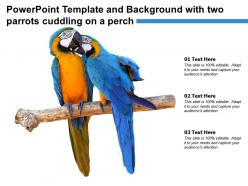 Powerpoint template and background with two parrots cuddling on a perch