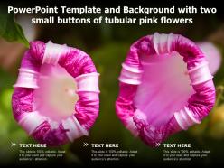 Powerpoint template and background with two small buttons of tubular pink flowers