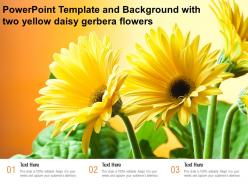 Powerpoint template and background with two yellow daisy gerbera flowers