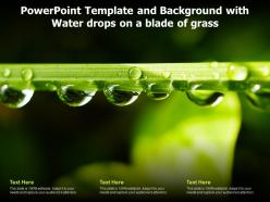 Powerpoint template and background with water drops on a blade of grass