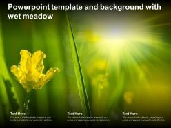 Powerpoint template and background with wet meadow