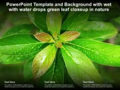 Powerpoint template and background with wet with water drops green leaf closeup in nature