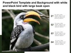 Powerpoint template and background with white and black bird with large beak open