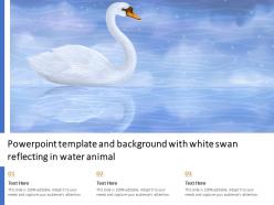 Powerpoint template and background with white swan reflecting in water animal