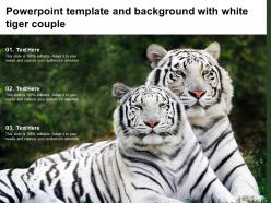 Powerpoint template and background with white tiger couple