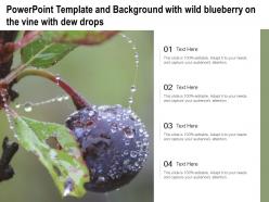 Powerpoint template and background with wild blueberry on the vine with dew drops