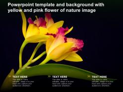 Powerpoint template and background with yellow and pink flower of nature image