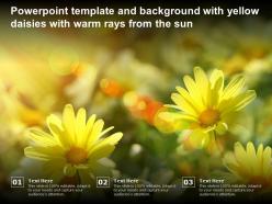 Powerpoint template and background with yellow daisies with warm rays from the sun