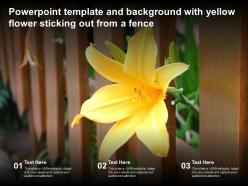 Powerpoint template and background with yellow flower sticking out from a fence