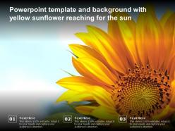 Powerpoint template and background with yellow sunflower reaching for the sun