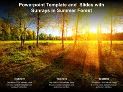 Powerpoint template and slides with sunrays in summer forest