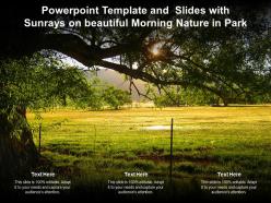 Powerpoint template and slides with sunrays on beautiful morning nature in park