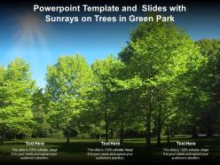 Powerpoint template and slides with sunrays on trees in green park