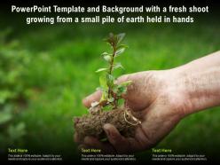 Powerpoint template and with a fresh shoot growing from a small pile of earth held in hands