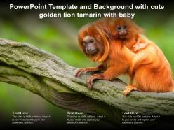 Powerpoint template background with cute golden lion tamarin with baby ppt powerpoint