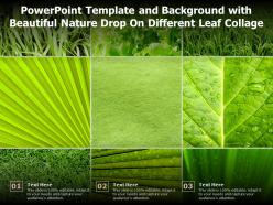Powerpoint template with beautiful nature drop on different leaf collage