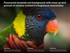 Powerpoint template with close up bird portrait of rainbow lorikeet trichoglossus haematodus