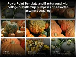 Powerpoint template with collage of buttercup pumpkin and assorted autumn squashes