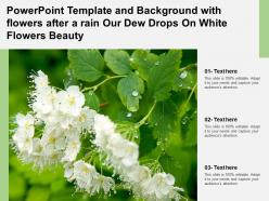 Powerpoint template with flowers after a rain our dew drops on white flowers beauty