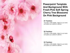 Powerpoint template with fresh pink soft spring cherry tree blossoms on pink background