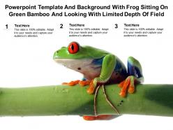 Powerpoint template with frog sitting on green bamboo and looking with limited depth of field