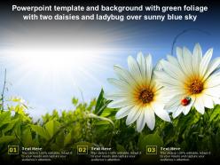 Powerpoint template with green foliage with two daisies and ladybug over sunny blue sky
