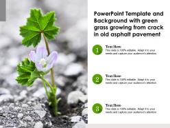 Powerpoint template with green grass growing from crack in old asphalt pavement