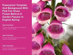 Powerpoint template with pink fox glove flower bells in a garden popular in english spring