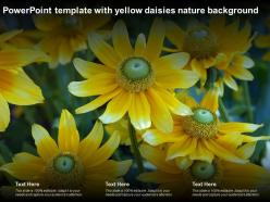 Powerpoint template with yellow daisies nature background