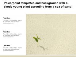 Powerpoint templates and background with a single young plant sprouting from a sea of sand