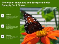 Powerpoint templates and background with butterfly on a flower
