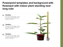 Powerpoint templates and background with flowerpot with indoor plant standing near long ruler