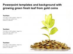 Powerpoint templates and background with growing green fresh leaf from gold coins