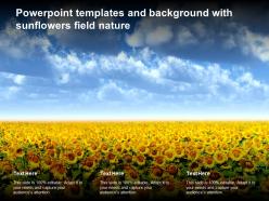 Powerpoint Templates And Background With Sunflowers Field Nature