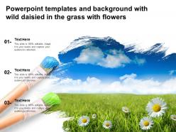 Powerpoint templates and background with wild daisied in the grass with flowers