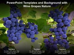 Powerpoint templates and background with wine grapes nature